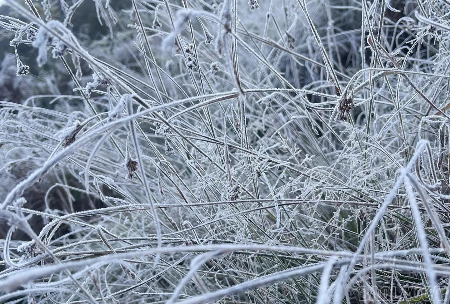 Đài PTTH Hà Nội